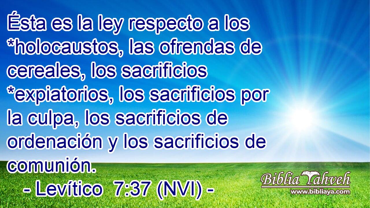  Ésta es la ley respecto a los *holocaustos, las ofrendas de cereales, los sacrificios *expiatorios, los sacrificios por la culpa, los sacrificios de ordenación y los sacrificios de comunión. 