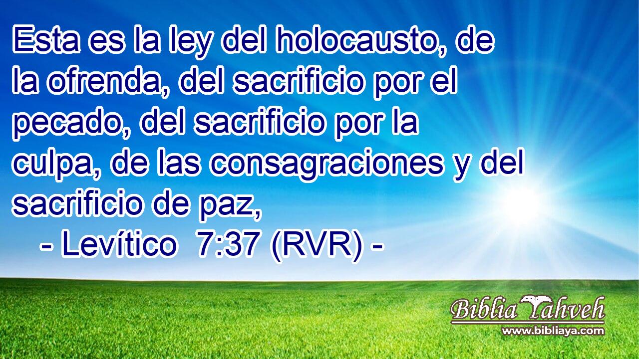 Esta es la ley del holocausto, de la ofrenda, del sacrificio por el pecado, del sacrificio por la culpa, de las consagraciones y del sacrificio de paz,