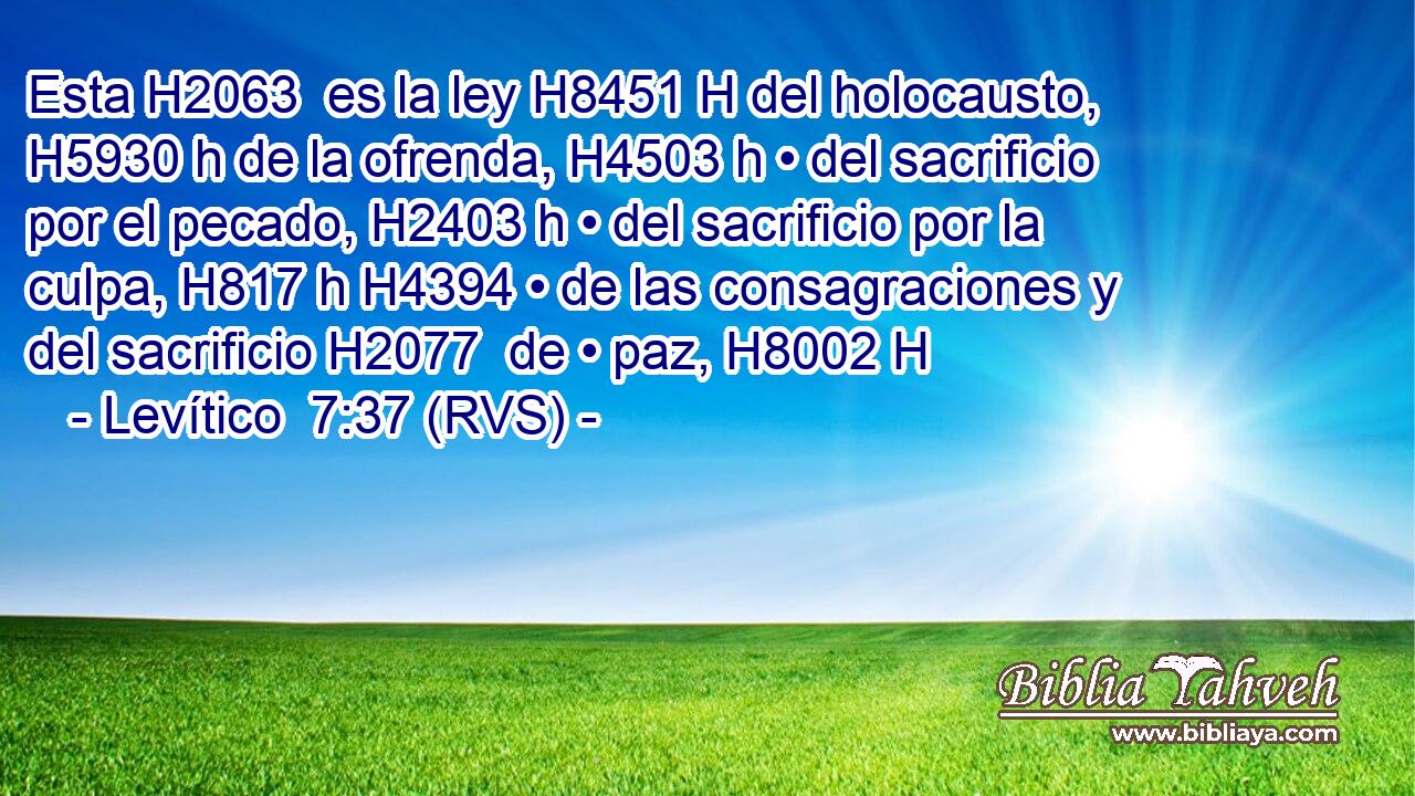 Esta H2063  es la ley H8451 H del holocausto, H5930 h de la ofrenda, H4503 h • del sacrificio por el pecado, H2403 h • del sacrificio por la culpa, H817 h H4394 • de las consagraciones y del sacrificio H2077  de • paz, H8002 H 