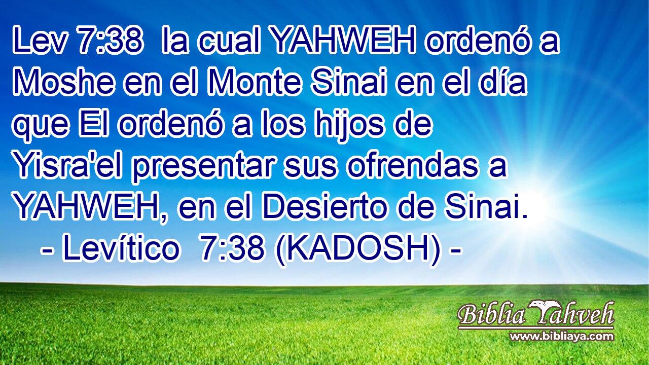  la cual YAHWEH ordenó a Moshe en el Monte Sinai en el día que El ordenó a los hijos de Yisra'el presentar sus ofrendas a YAHWEH, en el Desierto de Sinai. 