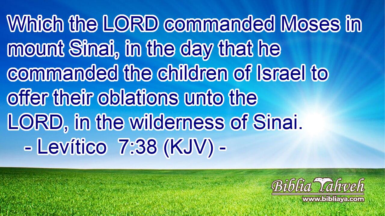 Which the LORD commanded Moses in mount Sinai, in the day that he commanded the children of Israel to offer their oblations unto the LORD, in the wilderness of Sinai.