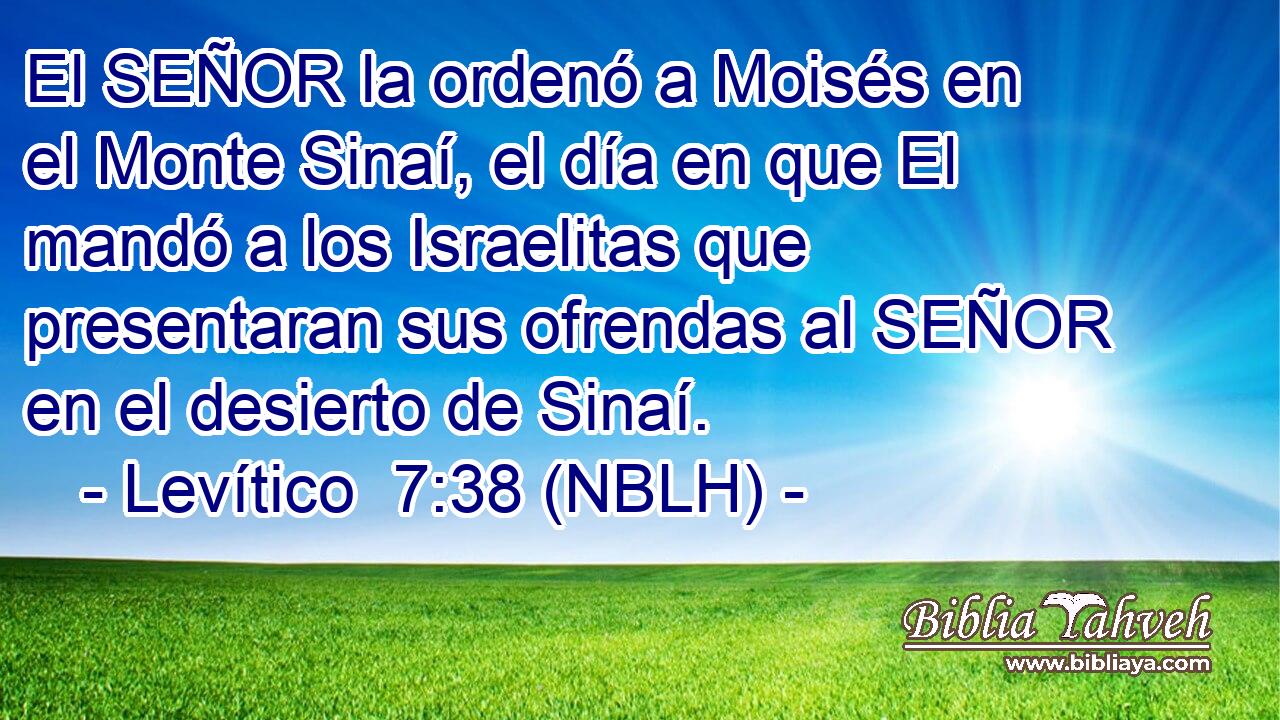  El SEÑOR la ordenó a Moisés en el Monte Sinaí, el día en que El mandó a los Israelitas que presentaran sus ofrendas al SEÑOR en el desierto de Sinaí. 
