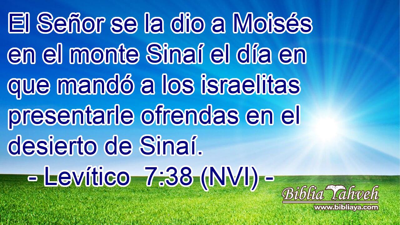  El Señor se la dio a Moisés en el monte Sinaí el día en que mandó a los israelitas presentarle ofrendas en el desierto de Sinaí. 