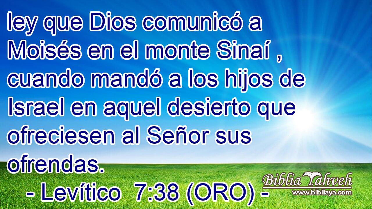  ley que Dios comunicó a Moisés en el monte Sinaí , cuando mandó a los hijos de Israel en aquel desierto que ofreciesen al Señor sus ofrendas. 