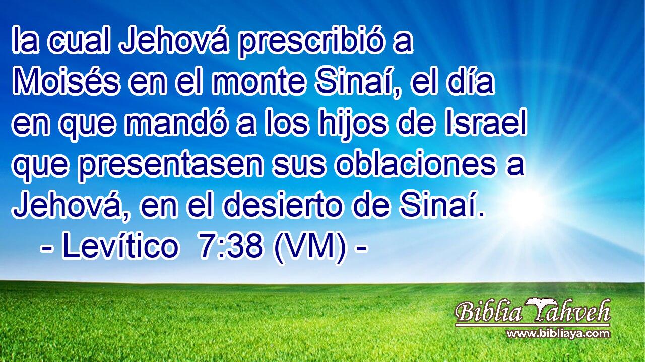  la cual Jehová prescribió a Moisés en el monte Sinaí, el día en que mandó a los hijos de Israel que presentasen sus oblaciones a Jehová, en el desierto de Sinaí. 