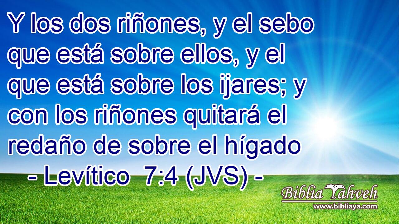 Y los dos riñones, y el sebo que está sobre ellos, y el que está sobre los ijares; y con los riñones quitará el redaño de sobre el hígado