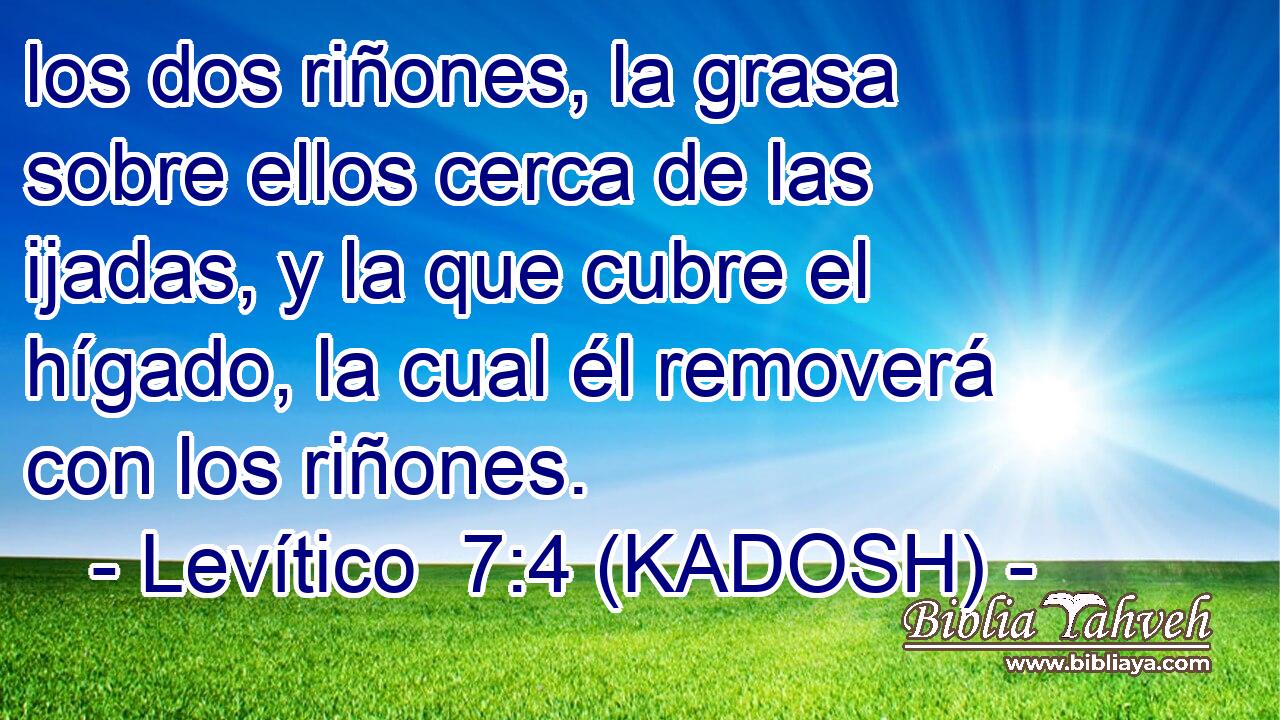  los dos riñones, la grasa sobre ellos cerca de las ijadas, y la que cubre el hígado, la cual él removerá con los riñones. 