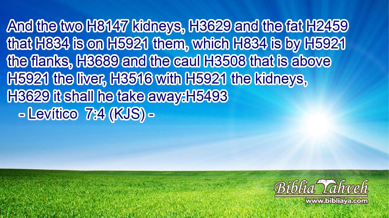 And the two H8147 kidneys, H3629 and the fat H2459 that H834 is on H5921 them, which H834 is by H5921 the flanks, H3689 and the caul H3508 that is above H5921 the liver, H3516 with H5921 the kidneys, H3629 it shall he take away:H5493