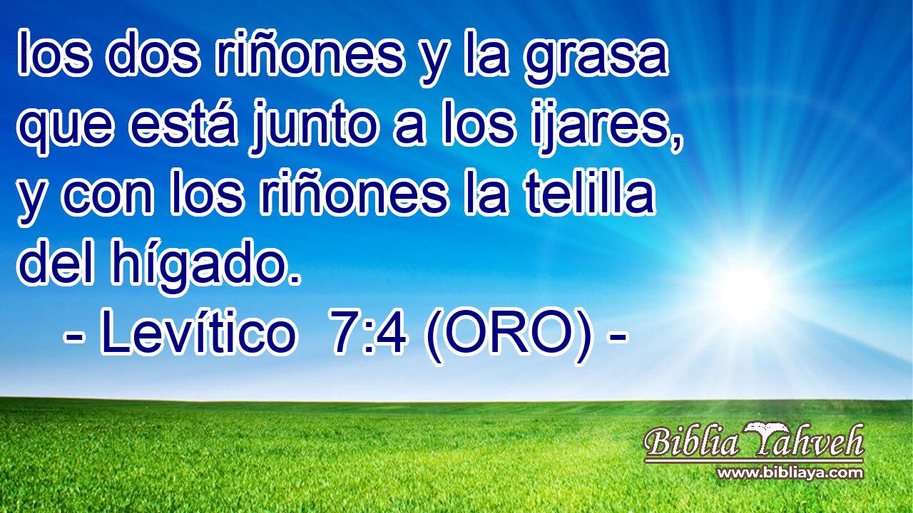  los dos riñones y la grasa que está junto a los ijares, y con los riñones la telilla del hígado. 