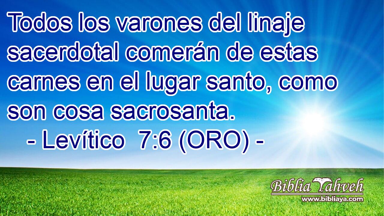  Todos los varones del linaje sacerdotal comerán de estas carnes en el lugar santo, como son cosa sacrosanta. 