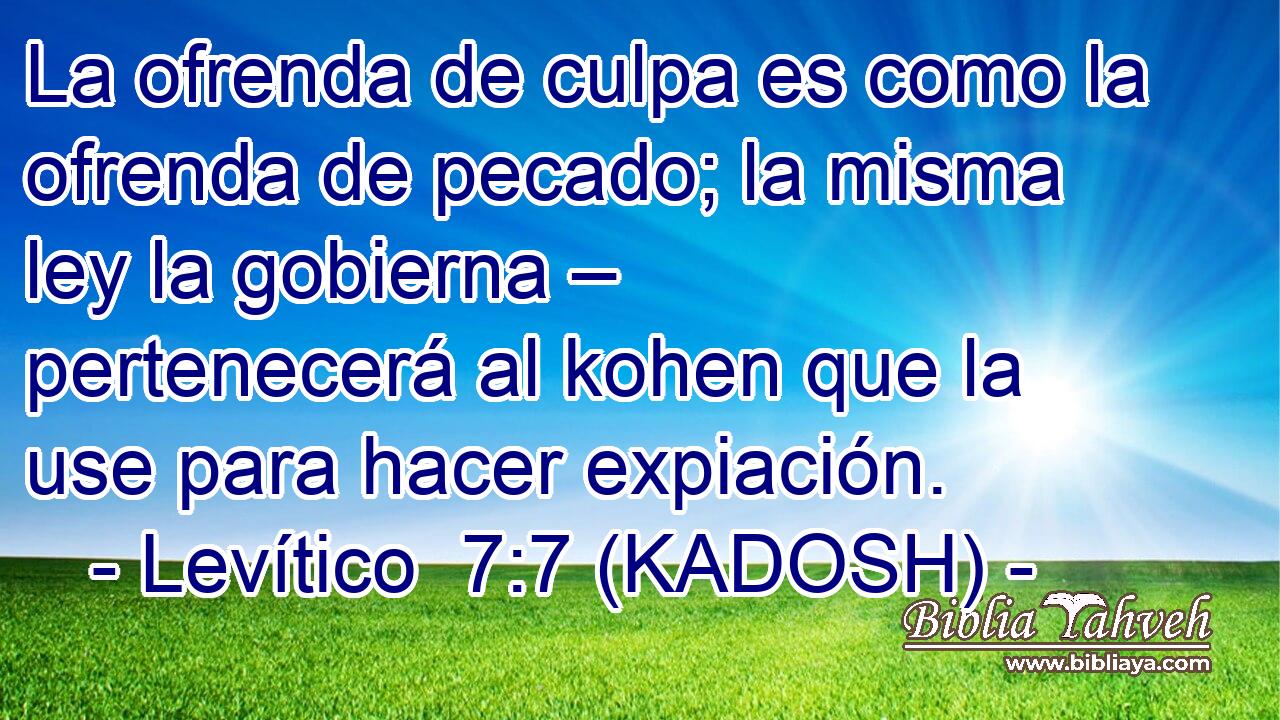  La ofrenda de culpa es como la ofrenda de pecado; la misma ley la gobierna – pertenecerá al kohen que la use para hacer expiación. 