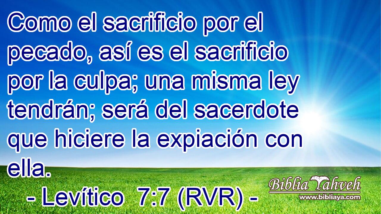 Como el sacrificio por el pecado, así es el sacrificio por la culpa; una misma ley tendrán; será del sacerdote que hiciere la expiación con ella.