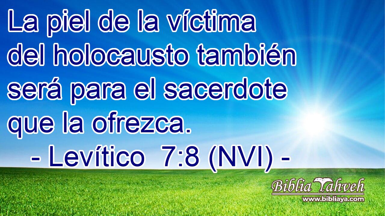  La piel de la víctima del holocausto también será para el sacerdote que la ofrezca. 