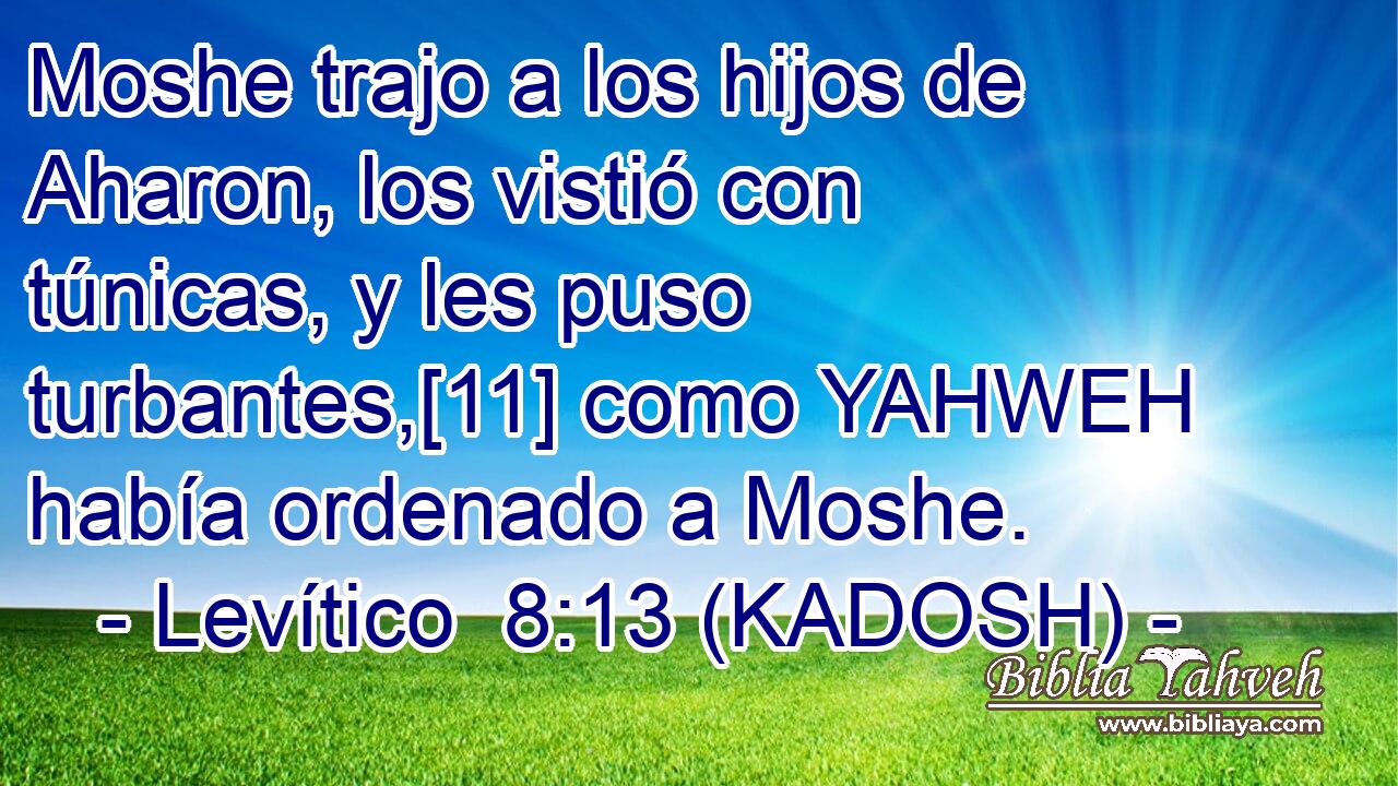  Moshe trajo a los hijos de Aharon, los vistió con túnicas, y les puso turbantes,[11] como YAHWEH había ordenado a Moshe. 