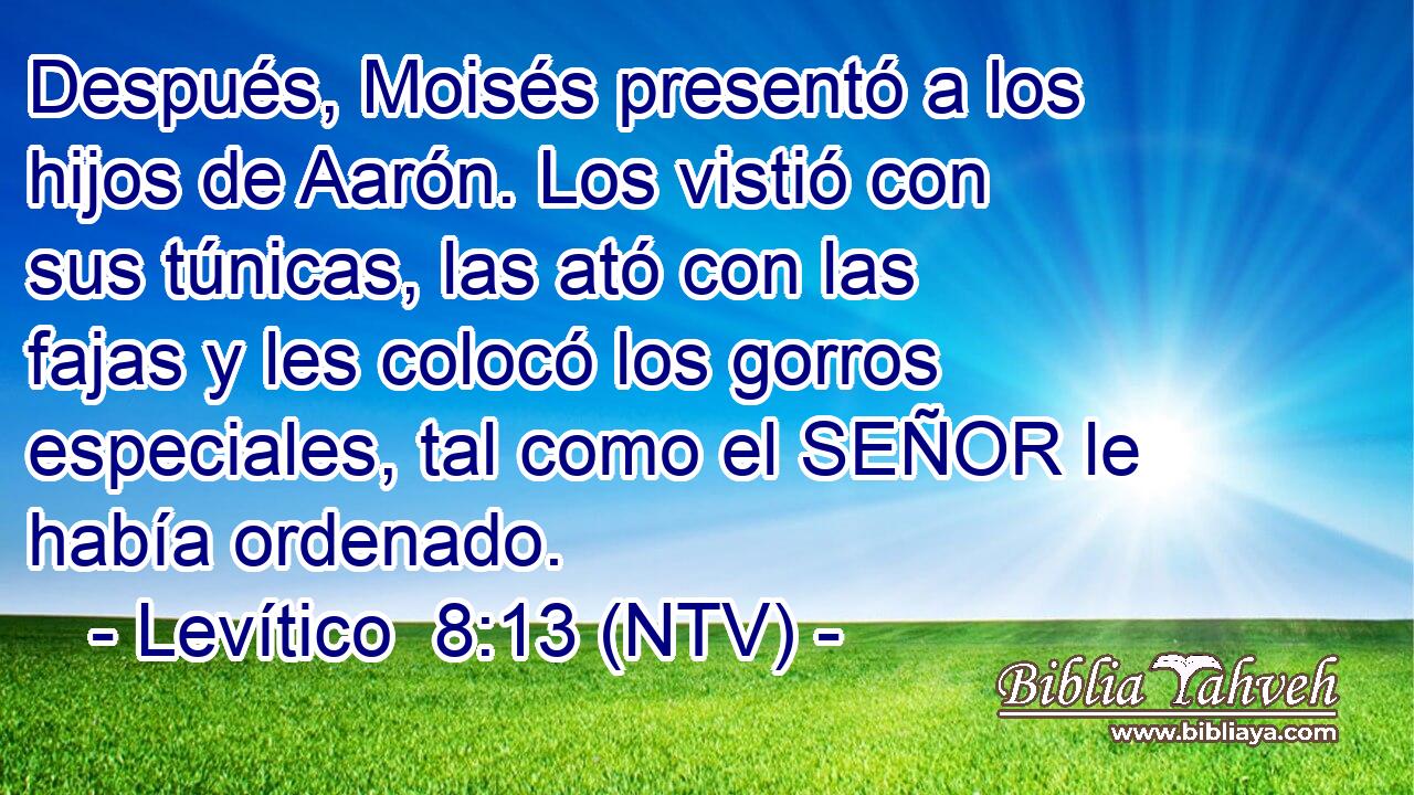 Después, Moisés presentó a los hijos de Aarón. Los vistió con sus túnicas, las ató con las fajas y les colocó los gorros especiales, tal como el SEÑOR le había ordenado.
