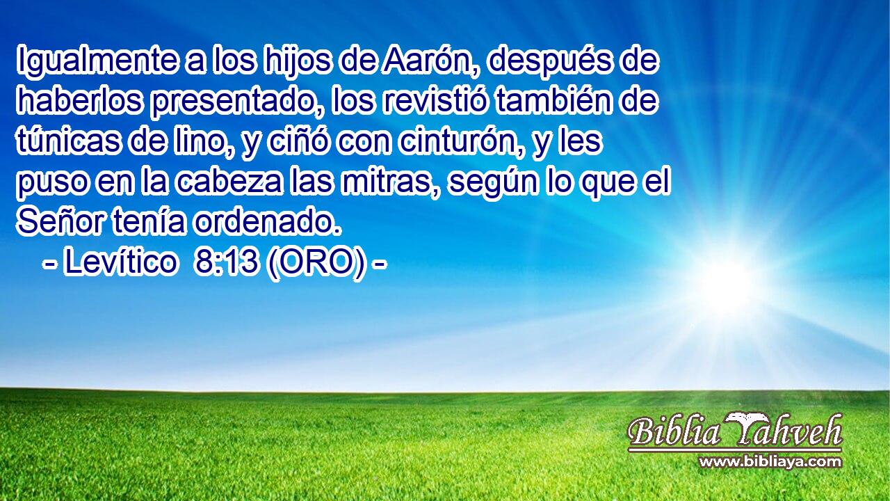  Igualmente a los hijos de Aarón, después de haberlos presentado, los revistió también de túnicas de lino, y ciñó con cinturón, y les puso en la cabeza las mitras, según lo que el Señor tenía ordenado. 