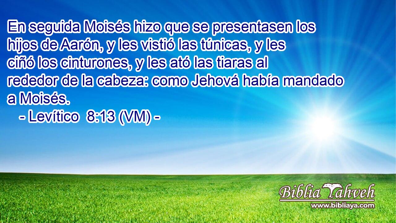  En seguida Moisés hizo que se presentasen los hijos de Aarón, y les vistió las túnicas, y les ciñó los cinturones, y les ató las tiaras al rededor de la cabeza: como Jehová había mandado a Moisés. 