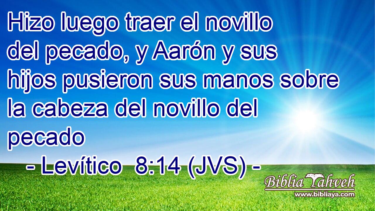 Hizo luego traer el novillo del pecado, y Aarón y sus hijos pusieron sus manos sobre la cabeza del novillo del pecado