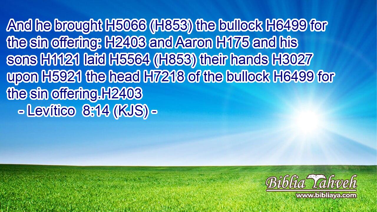And he brought H5066 (H853) the bullock H6499 for the sin offering: H2403 and Aaron H175 and his sons H1121 laid H5564 (H853) their hands H3027 upon H5921 the head H7218 of the bullock H6499 for the sin offering.H2403