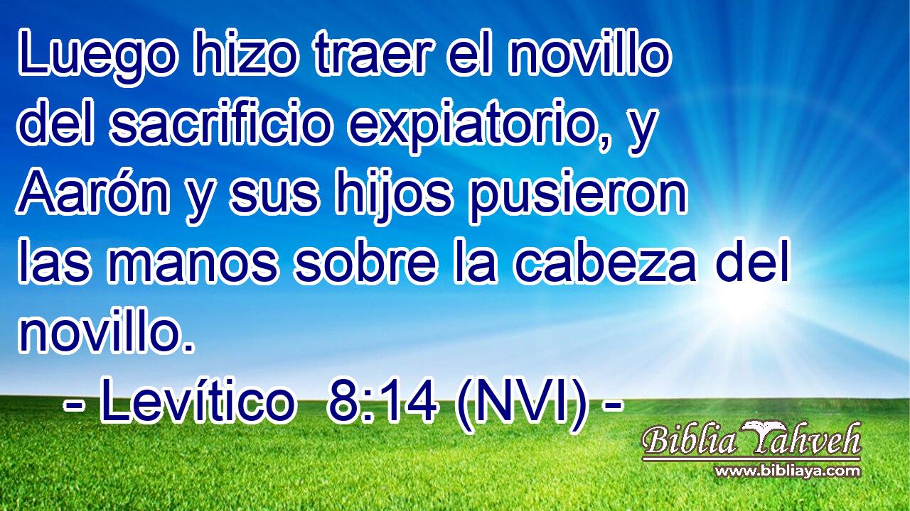  Luego hizo traer el novillo del sacrificio expiatorio, y Aarón y sus hijos pusieron las manos sobre la cabeza del novillo. 