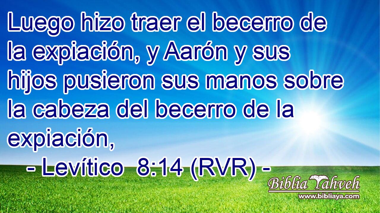 Luego hizo traer el becerro de la expiación, y Aarón y sus hijos pusieron sus manos sobre la cabeza del becerro de la expiación,