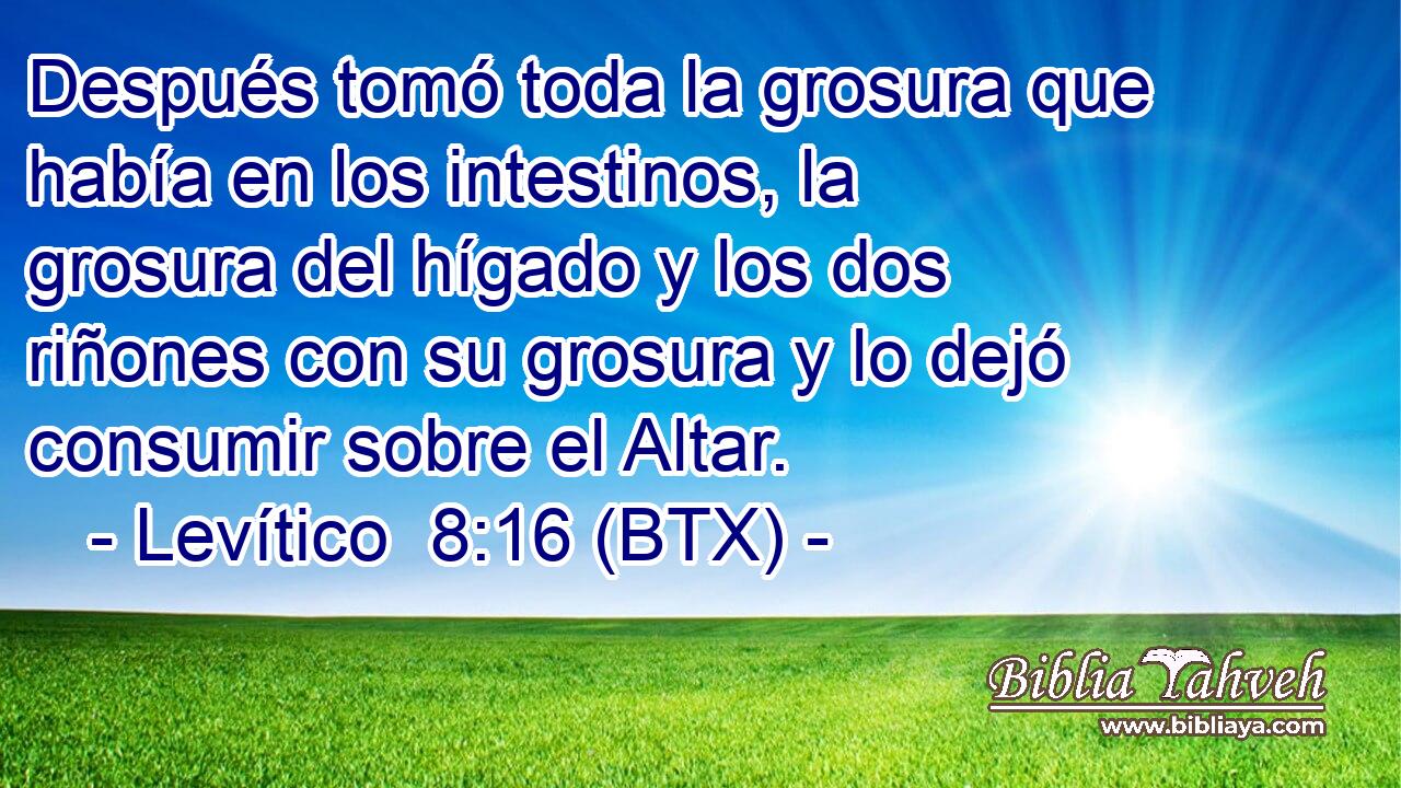 Después tomó toda la grosura que había en los intestinos, la grosura del hígado y los dos riñones con su grosura y lo dejó consumir sobre el Altar.