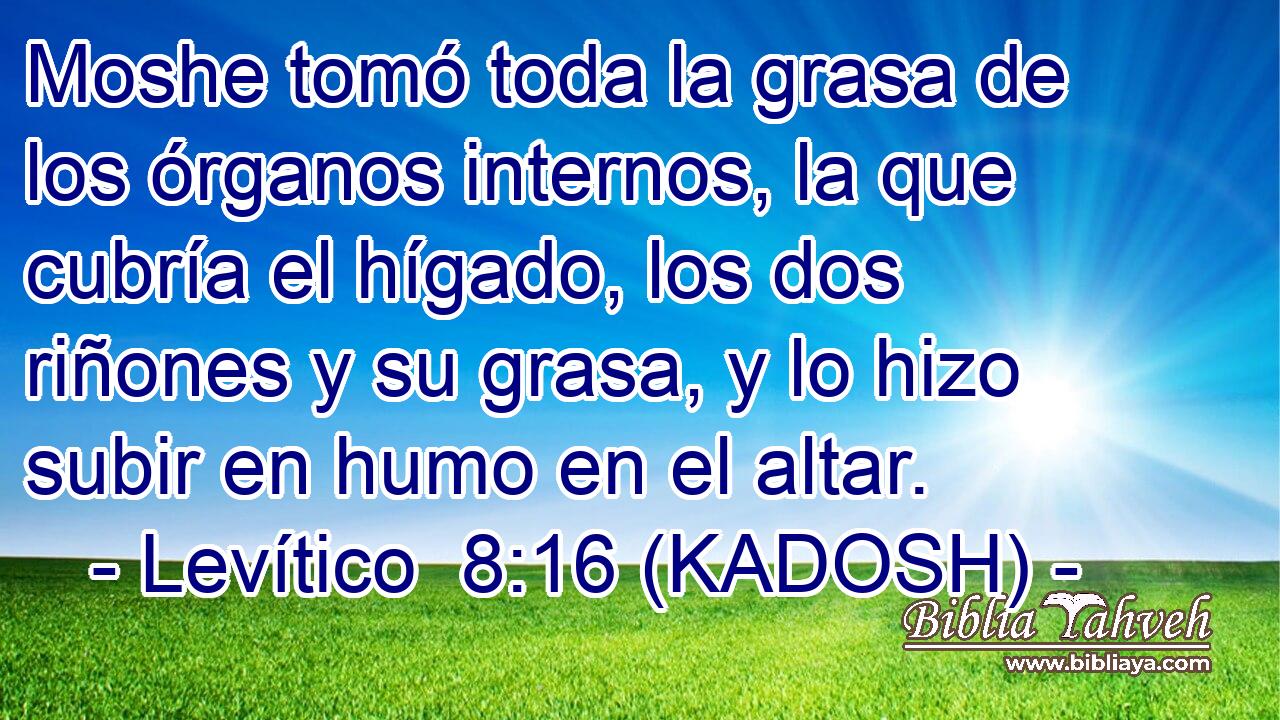  Moshe tomó toda la grasa de los órganos internos, la que cubría el hígado, los dos riñones y su grasa, y lo hizo subir en humo en el altar. 