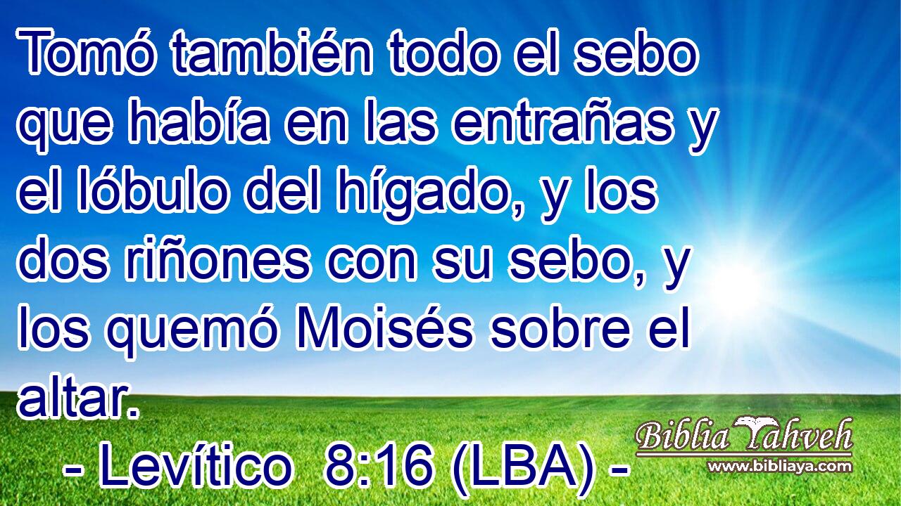 Tomó también todo el sebo que había en las entrañas y el lóbulo del hígado, y los dos riñones con su sebo, y los quemó Moisés sobre el altar.