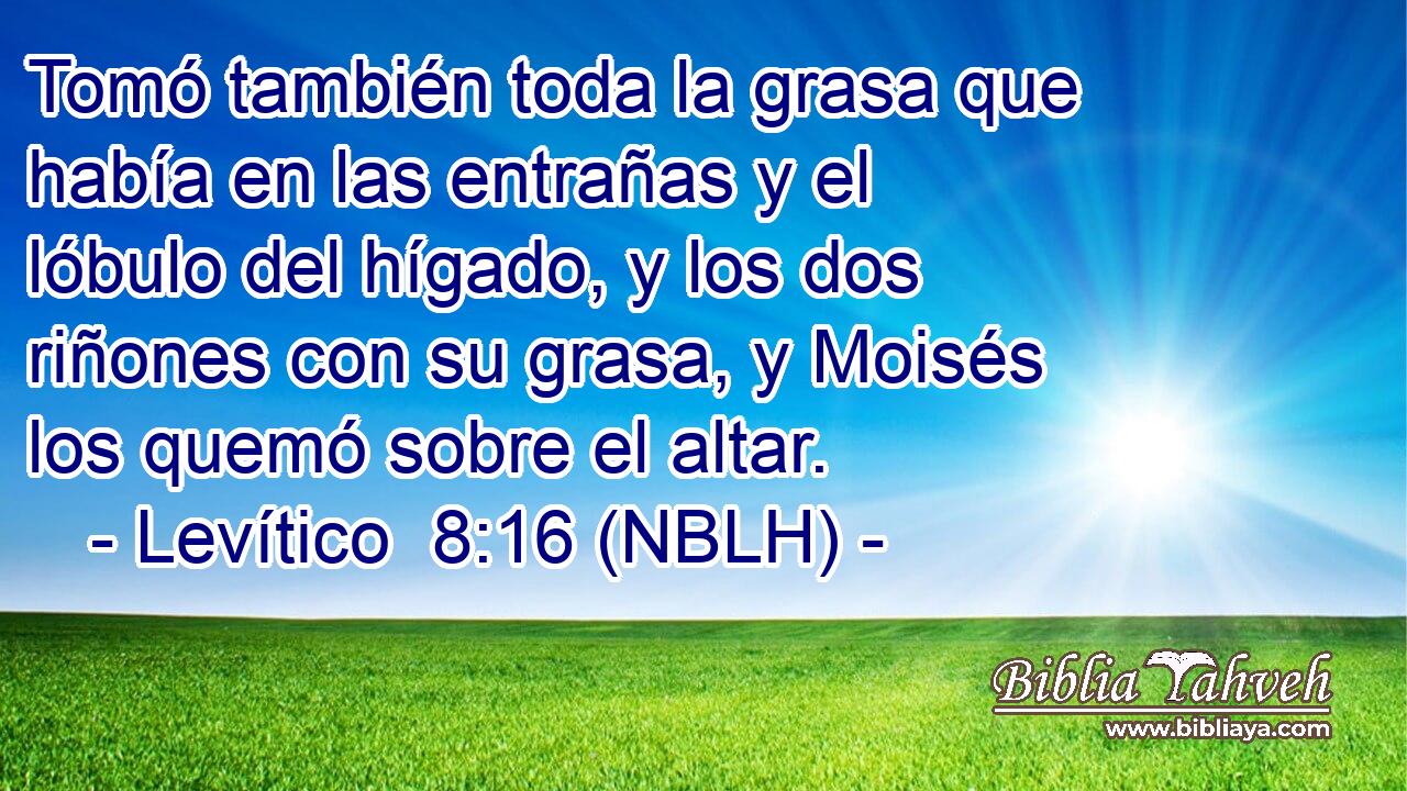  Tomó también toda la grasa que había en las entrañas y el lóbulo del hígado, y los dos riñones con su grasa, y Moisés los quemó sobre el altar. 