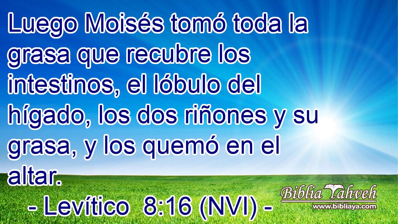  Luego Moisés tomó toda la grasa que recubre los intestinos, el lóbulo del hígado, los dos riñones y su grasa, y los quemó en el altar. 