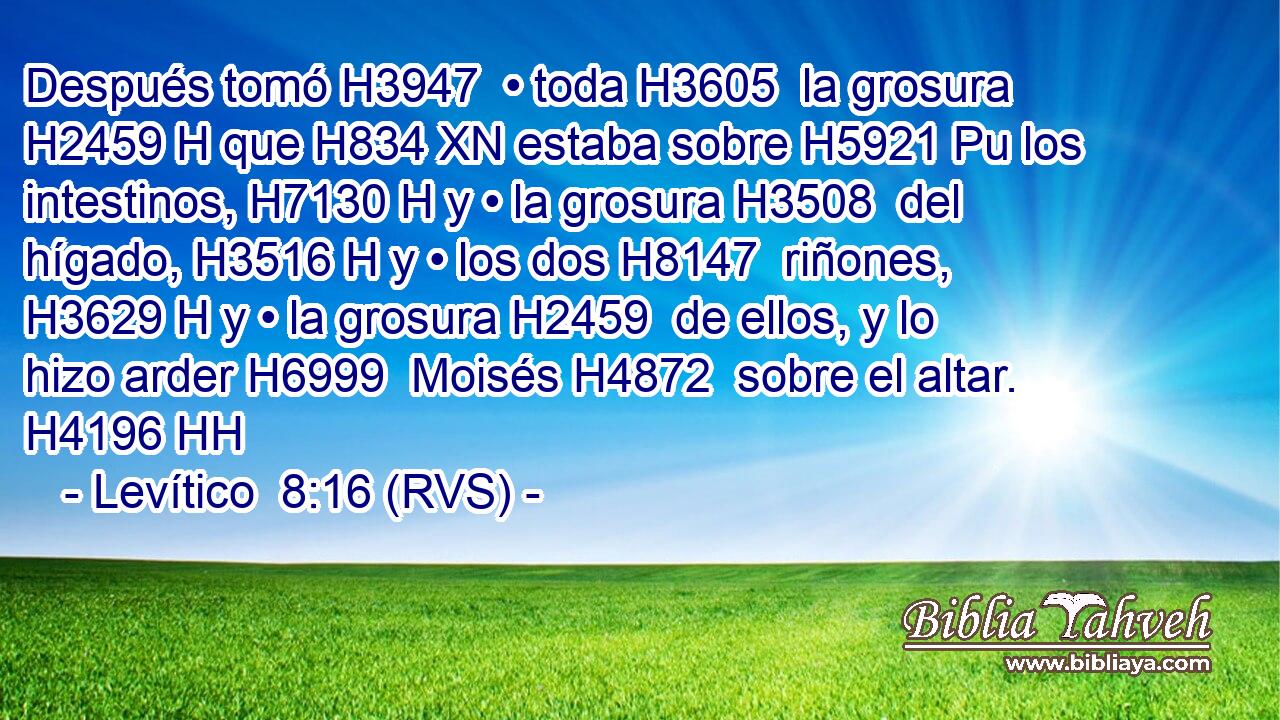 Después tomó H3947  • toda H3605  la grosura H2459 H que H834 XN estaba sobre H5921 Pu los intestinos, H7130 H y • la grosura H3508  del hígado, H3516 H y • los dos H8147  riñones, H3629 H y • la grosura H2459  de ellos, y lo hizo arder H6999  Moisés H4872  sobre el altar. H4196 HH 