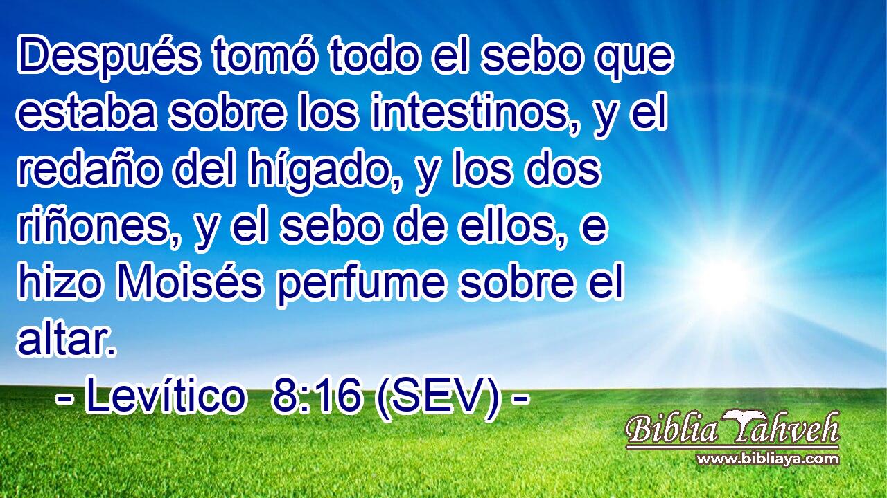Después tomó todo el sebo que estaba sobre los intestinos, y el redaño del hígado, y los dos riñones, y el sebo de ellos, e hizo Moisés perfume sobre el altar.