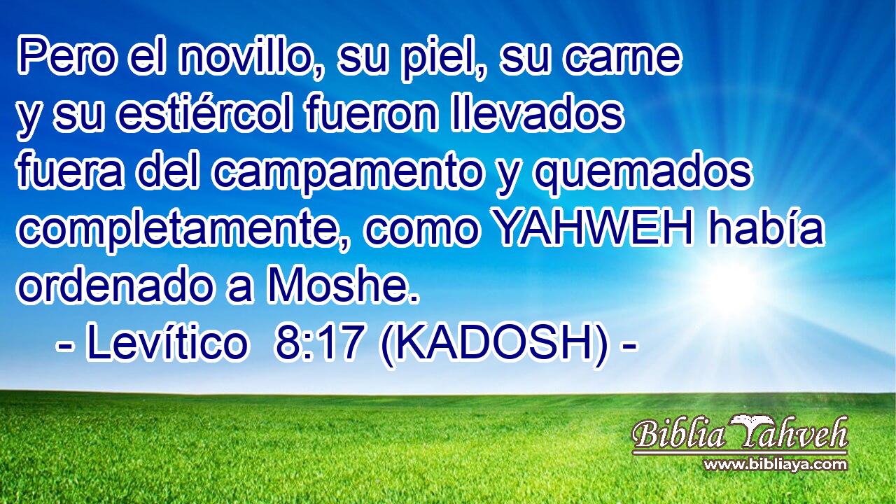  Pero el novillo, su piel, su carne y su estiércol fueron llevados fuera del campamento y quemados completamente, como YAHWEH había ordenado a Moshe. 