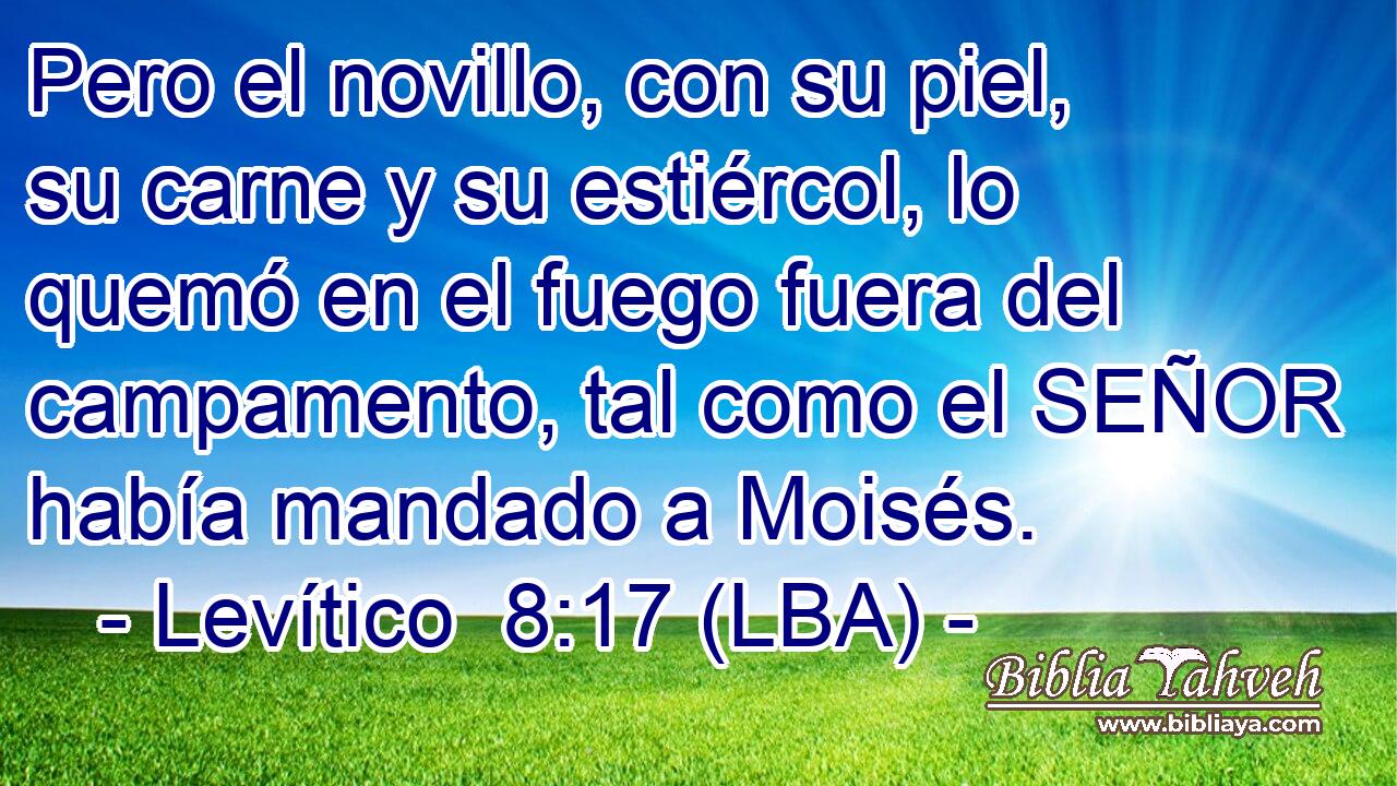 Pero el novillo, con su piel, su carne y su estiércol, lo quemó en el fuego fuera del campamento, tal como el SEÑOR había mandado a Moisés.
