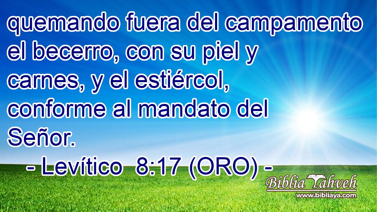  quemando fuera del campamento el becerro, con su piel y carnes, y el estiércol, conforme al mandato del Señor. 