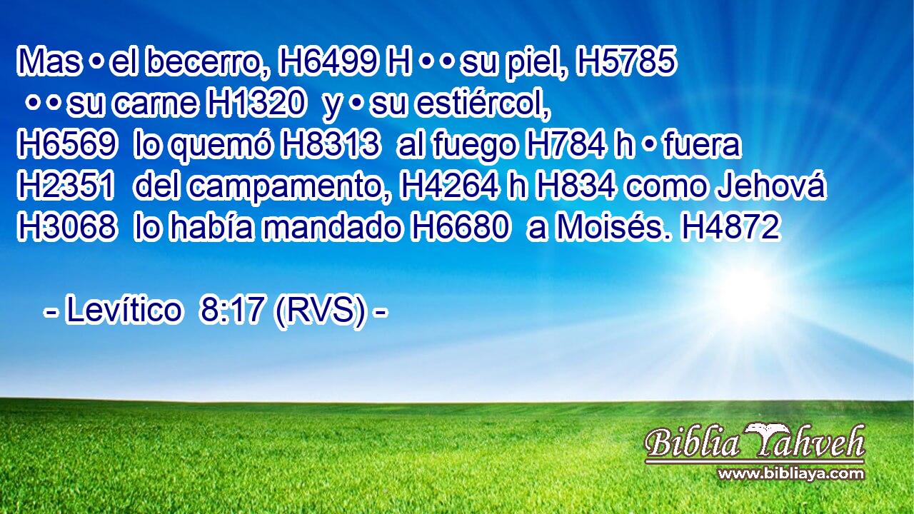 Mas • el becerro, H6499 H • • su piel, H5785  • • su carne H1320  y • su estiércol, H6569  lo quemó H8313  al fuego H784 h • fuera H2351  del campamento, H4264 h H834 como Jehová H3068  lo había mandado H6680  a Moisés. H4872  