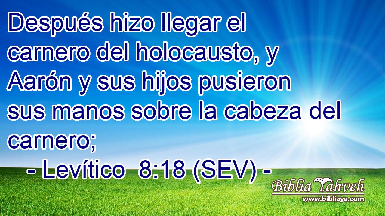 Después hizo llegar el carnero del holocausto, y Aarón y sus hijos pusieron sus manos sobre la cabeza del carnero;
