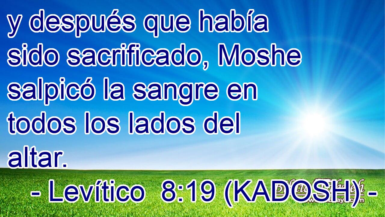  y después que había sido sacrificado, Moshe salpicó la sangre en todos los lados del altar. 