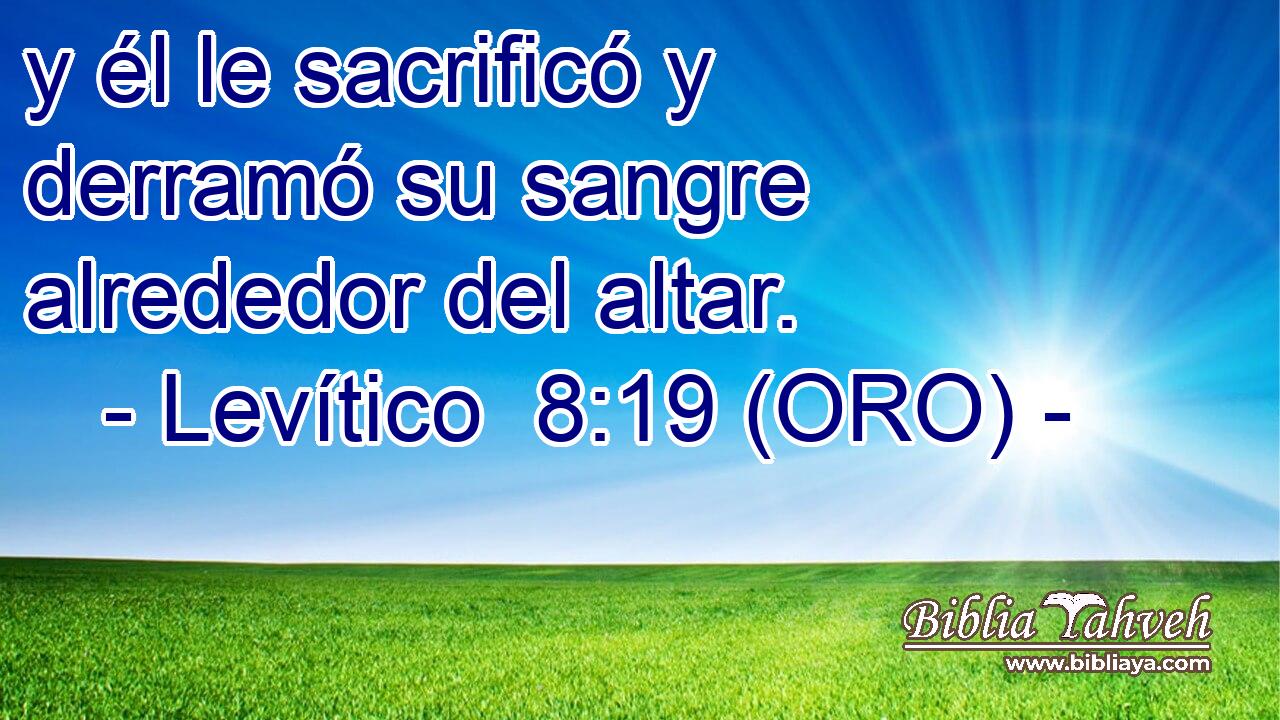  y él le sacrificó y derramó su sangre alrededor del altar. 