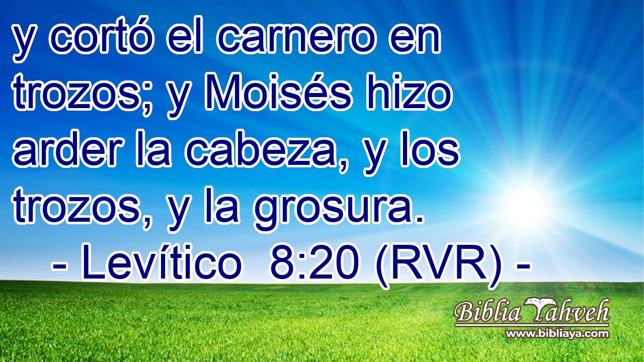 y cortó el carnero en trozos; y Moisés hizo arder la cabeza, y los trozos, y la grosura.