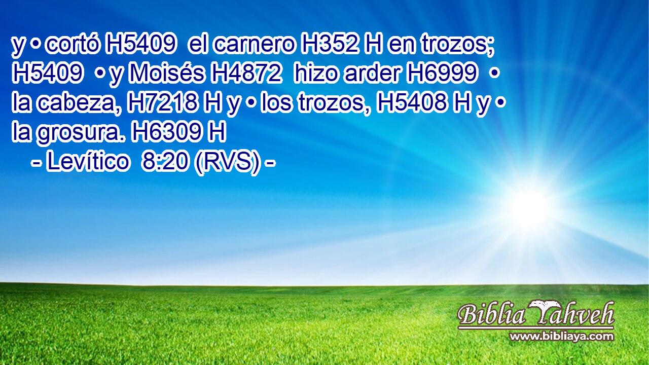 y • cortó H5409  el carnero H352 H en trozos; H5409  • y Moisés H4872  hizo arder H6999  • la cabeza, H7218 H y • los trozos, H5408 H y • la grosura. H6309 H 