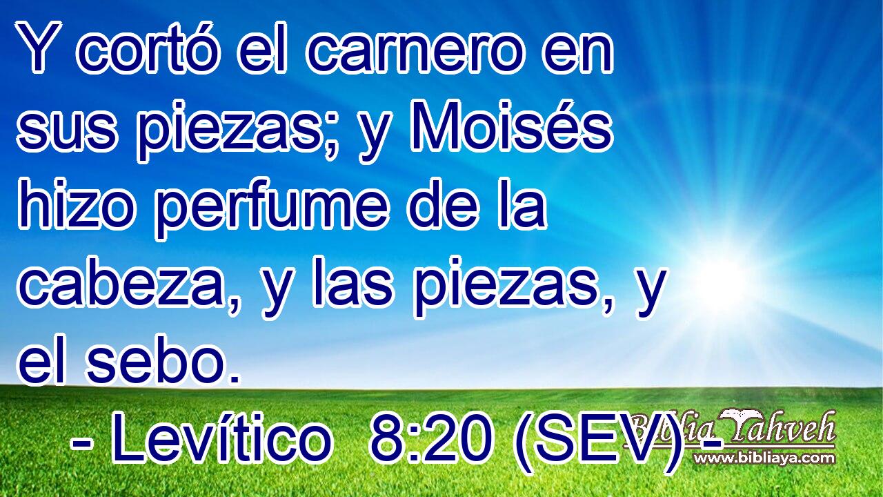 Y cortó el carnero en sus piezas; y Moisés hizo perfume de la cabeza, y las piezas, y el sebo.