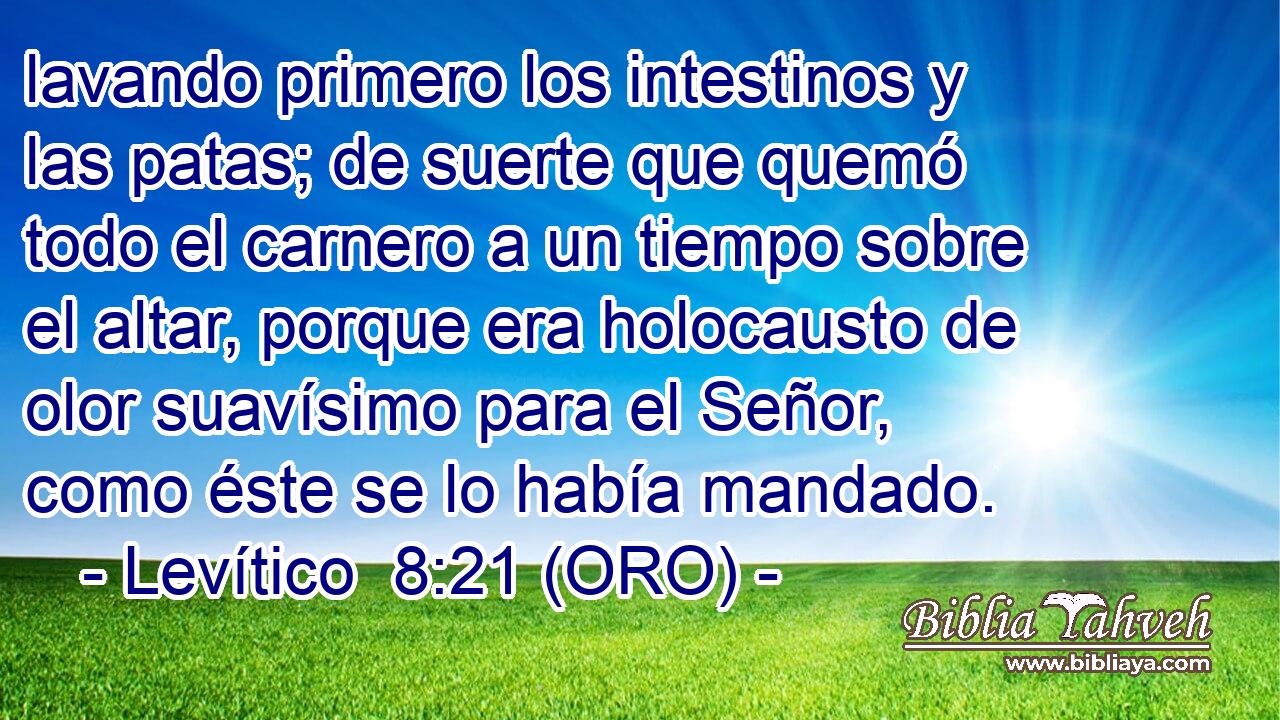  lavando primero los intestinos y las patas; de suerte que quemó todo el carnero a un tiempo sobre el altar, porque era holocausto de olor suavísimo para el Señor, como éste se lo había mandado. 