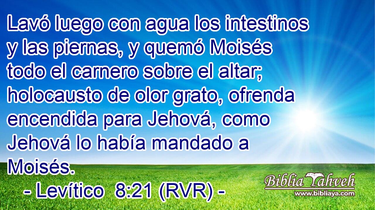 Lavó luego con agua los intestinos y las piernas, y quemó Moisés todo el carnero sobre el altar; holocausto de olor grato, ofrenda encendida para Jehová, como Jehová lo había mandado a Moisés.