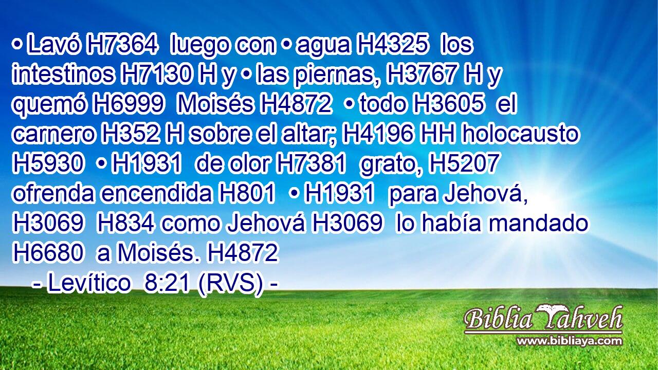 • Lavó H7364  luego con • agua H4325  los intestinos H7130 H y • las piernas, H3767 H y quemó H6999  Moisés H4872  • todo H3605  el carnero H352 H sobre el altar; H4196 HH holocausto H5930  • H1931  de olor H7381  grato, H5207  ofrenda encendida H801  • H1931  para Jehová, H3069  H834 como Jehová H3069  lo había mandado H6680  a Moisés. H4872  
