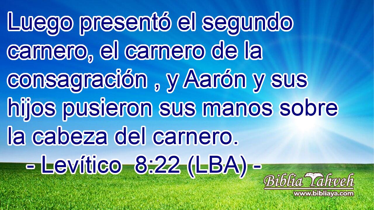 Luego presentó el segundo carnero, el carnero de la consagración , y Aarón y sus hijos pusieron sus manos sobre la cabeza del carnero.