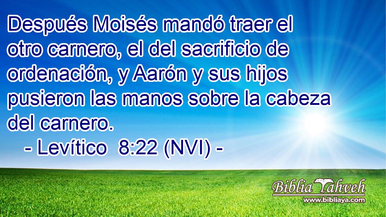  Después Moisés mandó traer el otro carnero, el del sacrificio de ordenación, y Aarón y sus hijos pusieron las manos sobre la cabeza del carnero. 