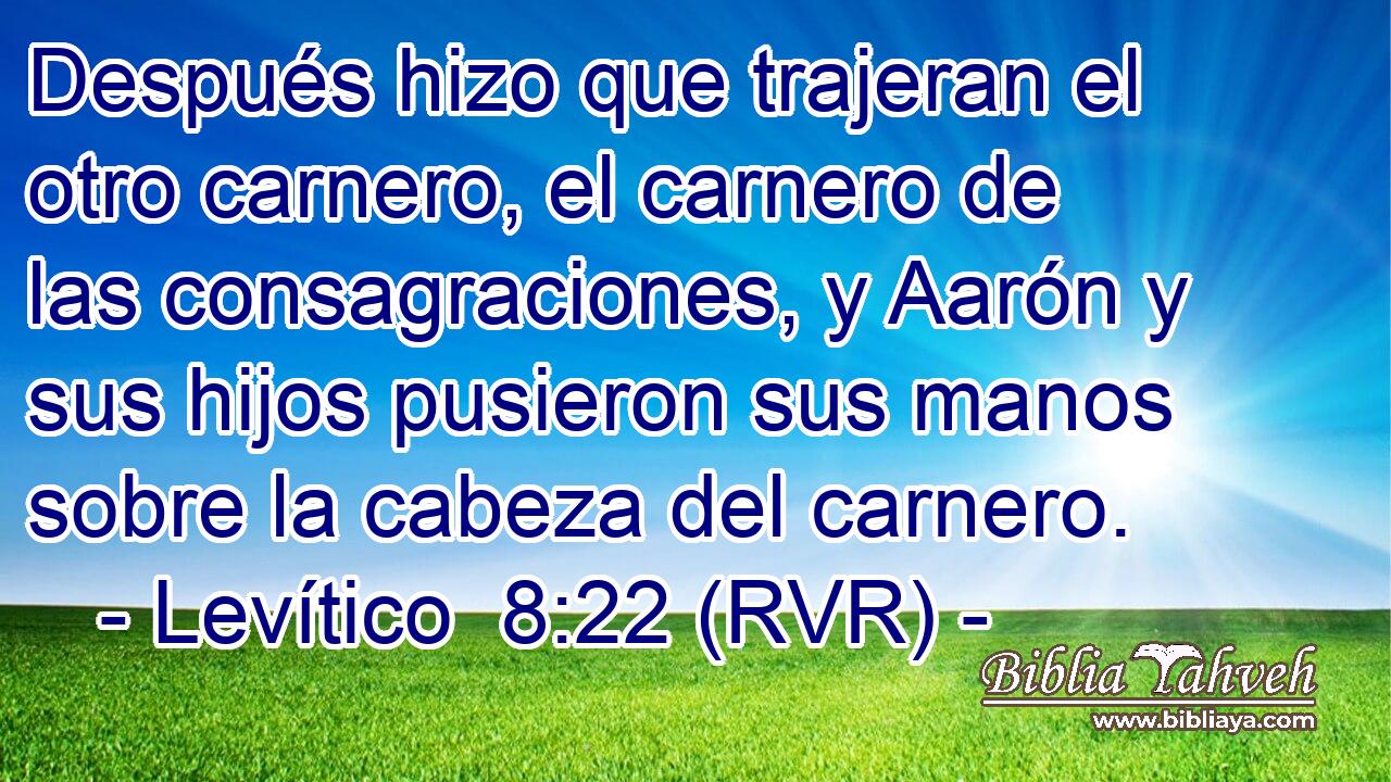 Después hizo que trajeran el otro carnero, el carnero de las consagraciones, y Aarón y sus hijos pusieron sus manos sobre la cabeza del carnero.