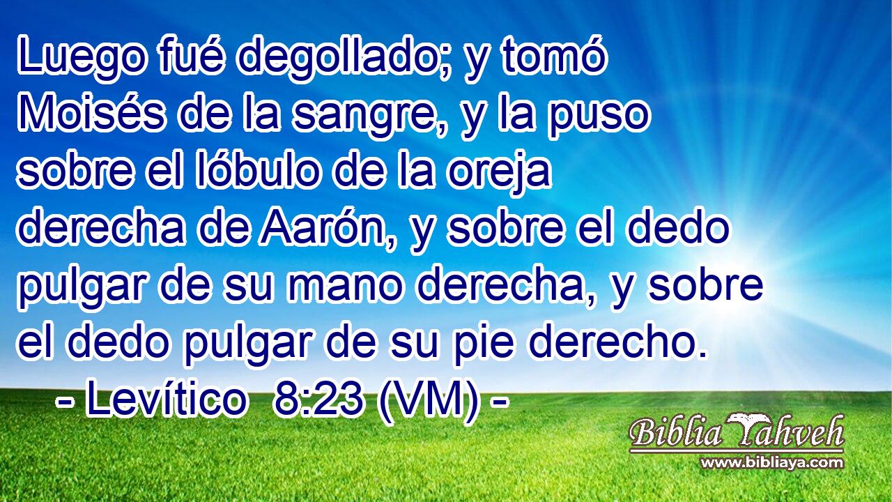  Luego fué degollado; y tomó Moisés de la sangre, y la puso sobre el lóbulo de la oreja derecha de Aarón, y sobre el dedo pulgar de su mano derecha, y sobre el dedo pulgar de su pie derecho. 
