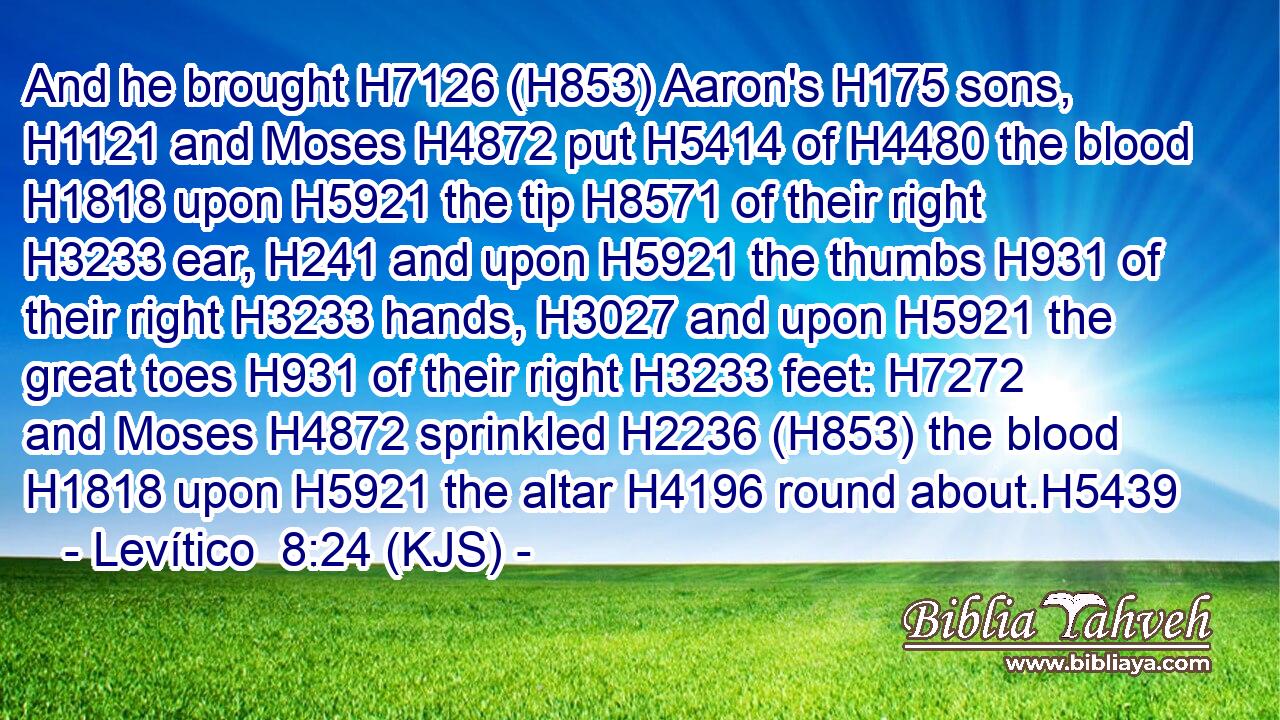 And he brought H7126 (H853) Aaron's H175 sons, H1121 and Moses H4872 put H5414 of H4480 the blood H1818 upon H5921 the tip H8571 of their right H3233 ear, H241 and upon H5921 the thumbs H931 of their right H3233 hands, H3027 and upon H5921 the great toes H931 of their right H3233 feet: H7272 and Moses H4872 sprinkled H2236 (H853) the blood H1818 upon H5921 the altar H4196 round about.H5439